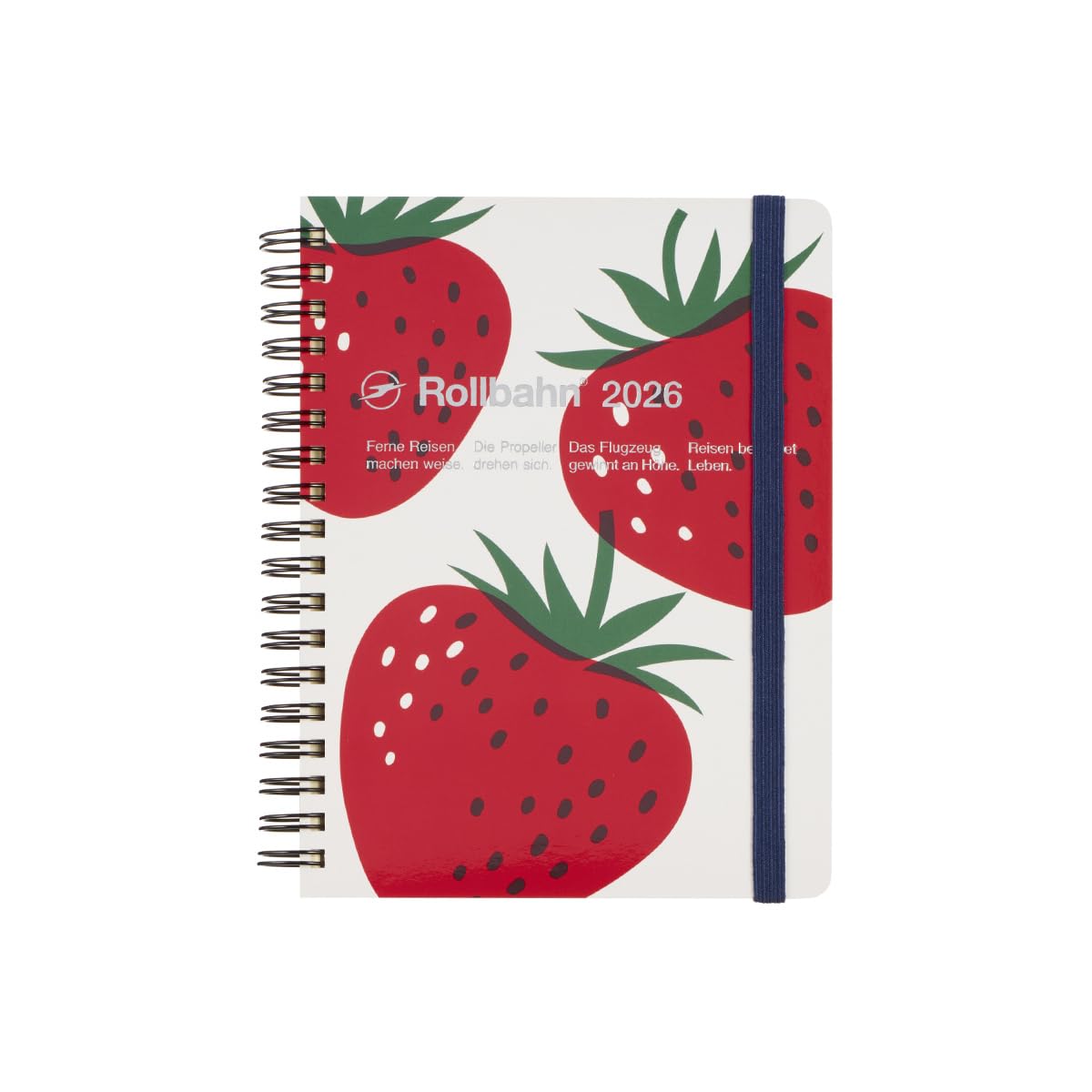 

[Delfonics Planner 2026 Edition / Starting October 2025] Rollbahn Diary L Monthly Planner (F (Hakata/Amaou))
