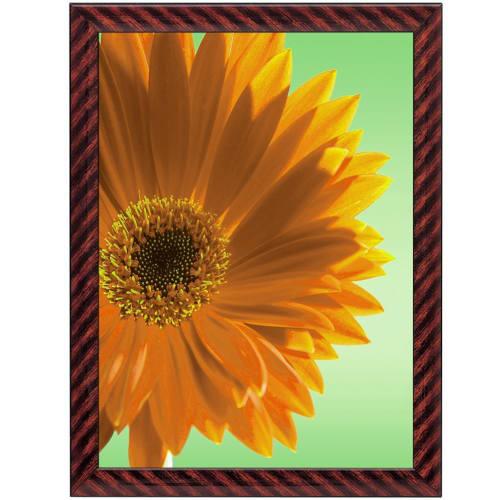 KOKUYO Gold Frame Rack for Certificates, New B4 Size, Ka-17N