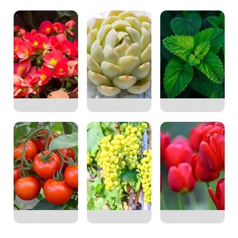 Plant Root Stimulator Promotes Root System Development Seedling Root Strengthener Enhances Vegetable Root Growth