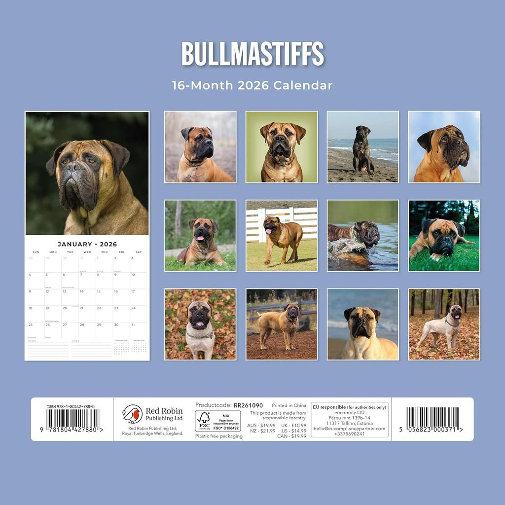Red Robin 2026 Bullmastiffs Monthly Wall Calendar | 12" x 24" Open | Premium Thick & Sturdy Paper | Hangable 12 Month Calendar | Lined Notes & To Do