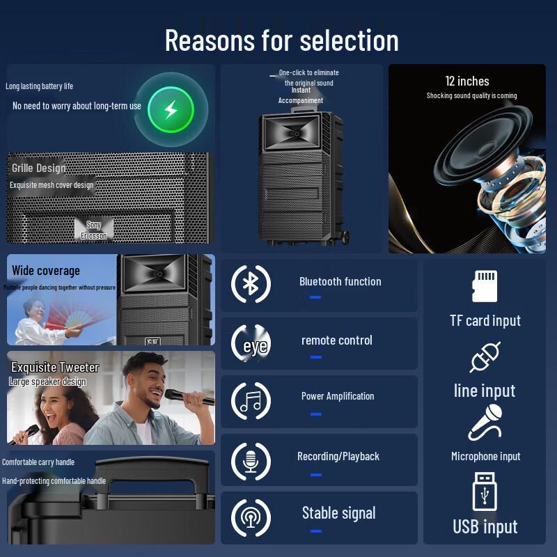 Suoai 12-inch Portable Bluetooth KTV Speaker