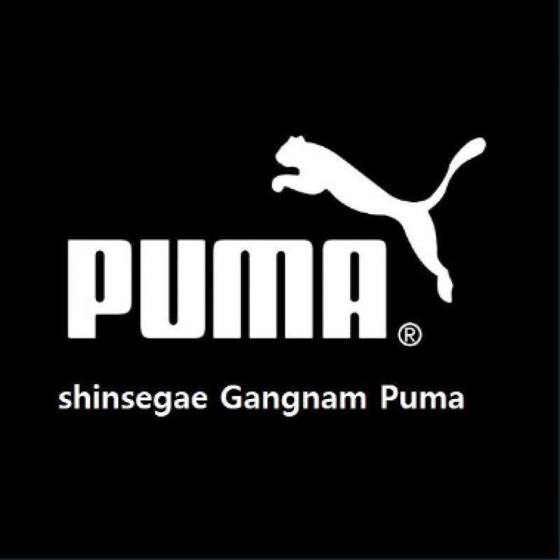 Puma Autumn Winter Training Zip Up Sportswear Pumatech Full Zip Hoodie Dk