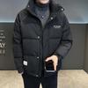 Winter Down Jacket Men's Lightweight Stand-up Collar New Slim-fitting Short Style Wrinkled Design Jacket Men's Jacket