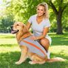 Lightweight Breathable Dog Cooling Vest Summer Pet Cooling Jacket Mesh Fabric Soft Dog Clothes for Hot Weather Outdoor Activities