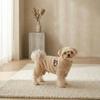 Pet Clothes, Pet Jacket, Warm Fleece Jumpsuit for Small Dogs, Suitable for Winter