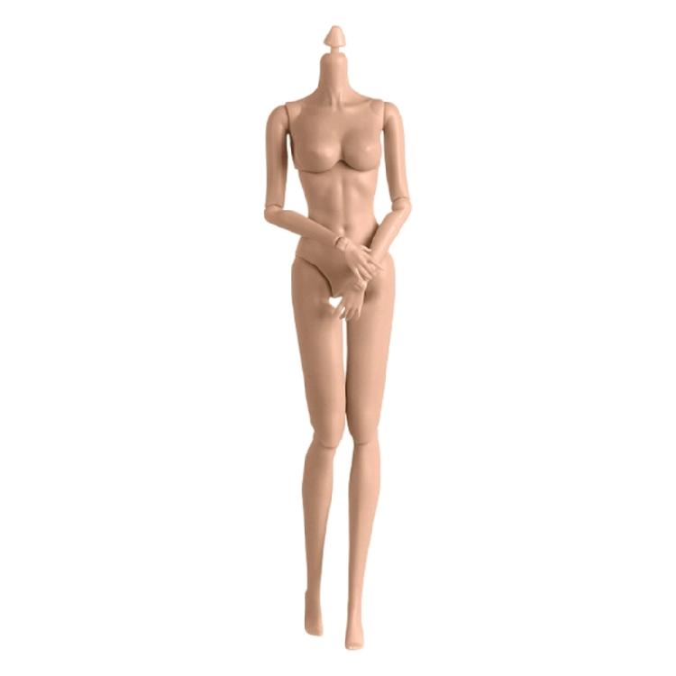 1/6 Collectible Figure Doll Body With Articulated  System And Natural Skin Tone Finish For Display Doll Customization