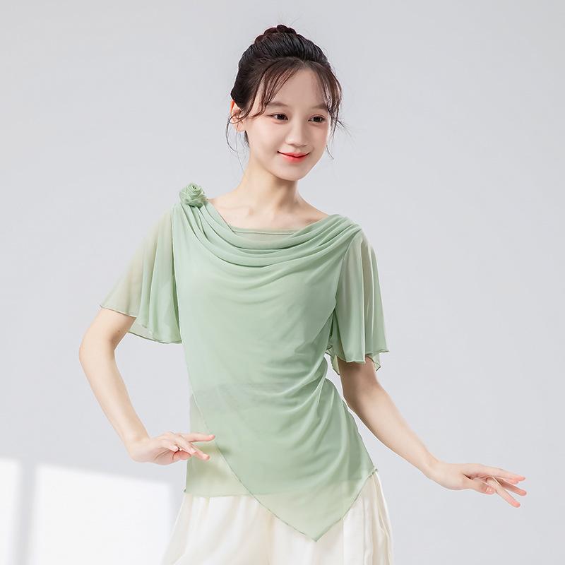 

Flowing Floral Mesh Short-Sleeve Dance Top - Fairy-Inspired Chinese Classical Style XL