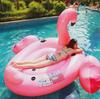Brinquedos aquáticos para piscina e pátio – Boias