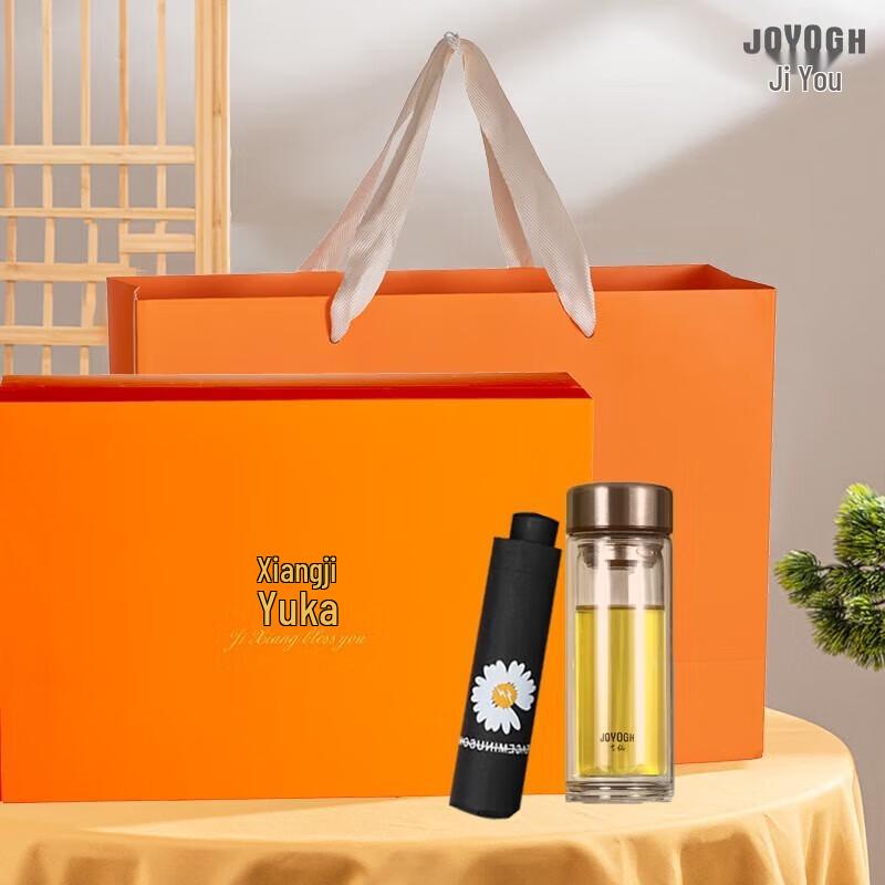 JOYOGH Double-Wall Borosilicate Glass Mug Gift Set