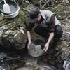Plastic Gold Pan Basin NuggetMining Pan Dredging Prospecting River Tool Wash Gold Panning Equipment Gold Silver Metal Detector
