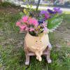Rocking chair smiling face flowerpot cute face potted plant courtyard outdoor garden decoration resin crafts