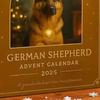 Christmas Advent Calendar German Shepherd Design 24-Day Countdown Decoration Multifunctional Holiday Decor