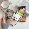NH36 Pomeranian dog New High-End Shell Phone Case for Xiaomi Poco C40 C50 C51 C55 C65 C71 C75 F3 F5 F6 F7 M2 M3 Pro Ultra