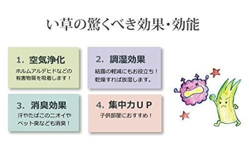 IKEHIKO Corporation IKEHIKO Shiranui Igusa Rug, Honma 1 Tatami Size (approx. 95 X 191 Cm), Made In Japan, Checkered Weave, Cypress Finish #6300181