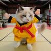 Yousheng Taekwondo Player Dog Costume Funny Kung Fu Pet Apparel with Arm Cat Cosplay Costume for Dogs And Cats Party Attire Photo