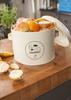 Kitchen Composter With Carbon Filter