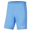 Mens Dry Park III Shorts
