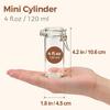 4oz Glass Spice Jars with Airtight Swing Top Lids,Small Clear Containers for Pantry Organization,Herb Storage,DIY Crafts & Gifts