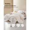 All-Season Soy Fiber Two-in-One Duvet