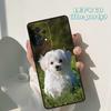 Cartoon Maltese Dog phone case For Samsung Galaxy A42 A31 A40 A51 A71 A32 A80 A91 A52 A72 A73 A20e A21S A50 A70 A11 A12 Cover