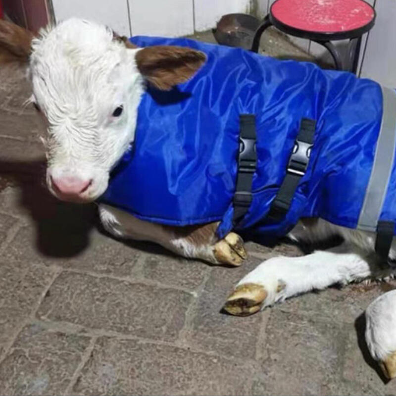 Large Dog Waterproof Winter Coat Calf Padded Vest Thick Winter