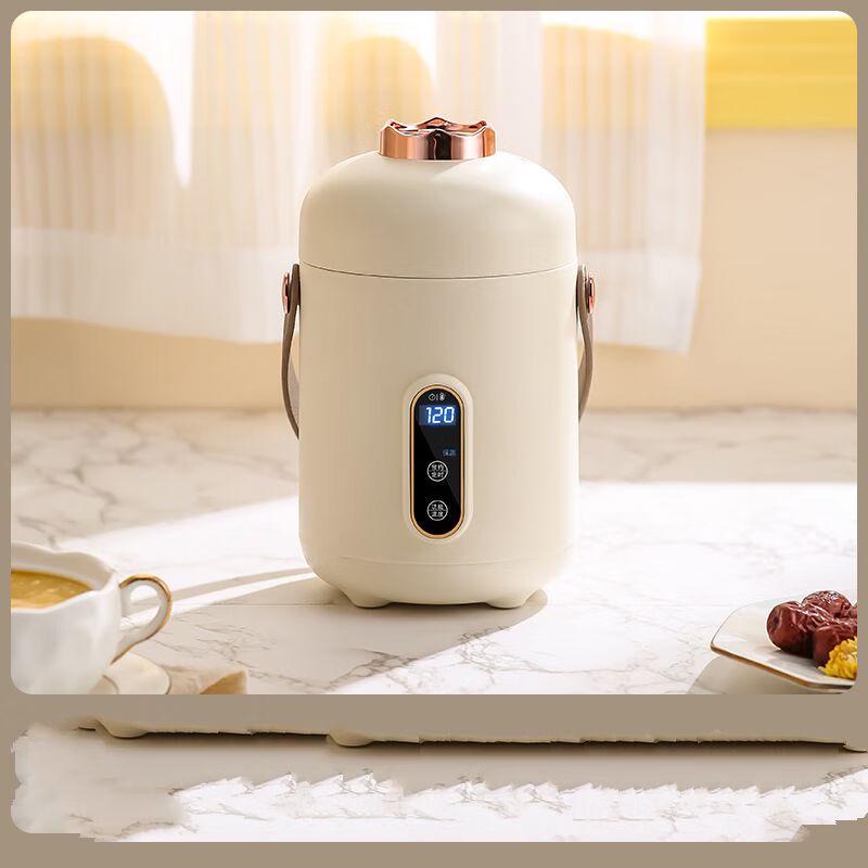 Portable Electric Travel Kettle & Mini Cooker