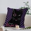 Classic T-The C-Cure Rock Band Cushion Cover Pillowcase Upholstery Sofa Throw Pillow Home Decor Pillowcas