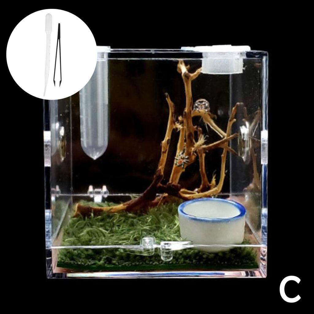 Mini Reptiles Chovný Box Průhledný Akrylový Klec Habitat Krmný Box na Hmyz Terárium Nádrž Neunikavý Pro Hmyz Skákavka