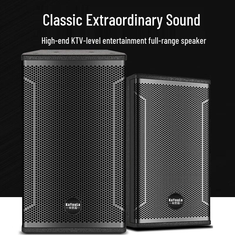 KaYouLa K12 Professional 12-inch Full-Range Speaker
