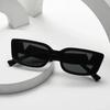 Rereo Cat Eye Frame Sunglasses Women Luxury V Sun Glasses Men Fashion Rectangle Jelly Glasses With Metal Hinges UV400
