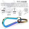 NaTuo Titanium Carabiner Keychain with Metal Fittings for Key Reel Keychain for Men and Women Keychain, Stylish, Cute, Lightweight, High-Strength Car,