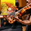 1 Set Steel-core Zinc Zinc Alloy A704 Violin Strings Replacement Violin Strings  Music School Students