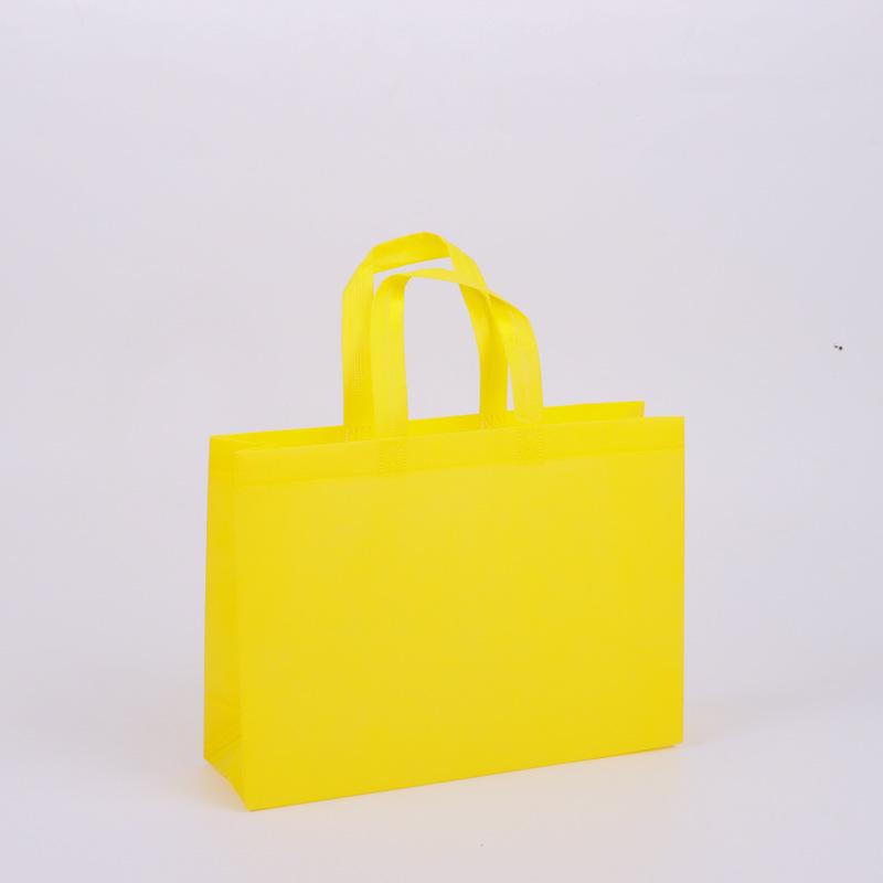 Eco-friendly High-end Non-woven Tote & Garment Bag