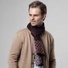 New Luxury Brand Business Mens Scarf Cashmere Scarfs Shawl High Quality Winter Warm Scarves Men