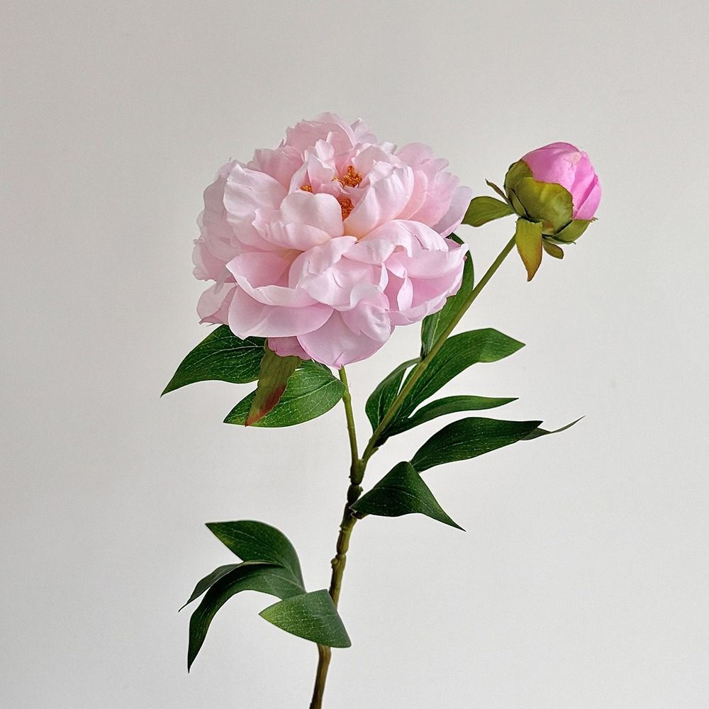 DIY 2 Head Artificial Peony Bouquet Silk Cloth Lifelike Artificial Flower Peony Flower Bundle Photography Prop