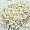 Beads Squeeze Toy Squeeze Ball Fillers 100g Crunchy Stuffing Building Blocks  Craft Accessories