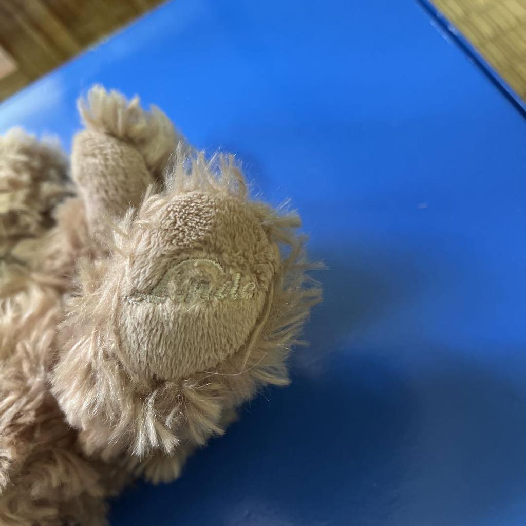 [USED] Bukowski Teddy Bear Stuffed Animal