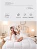 White Quilt Hotel Inn: All-Season Thick Quilt for Home & Hostel