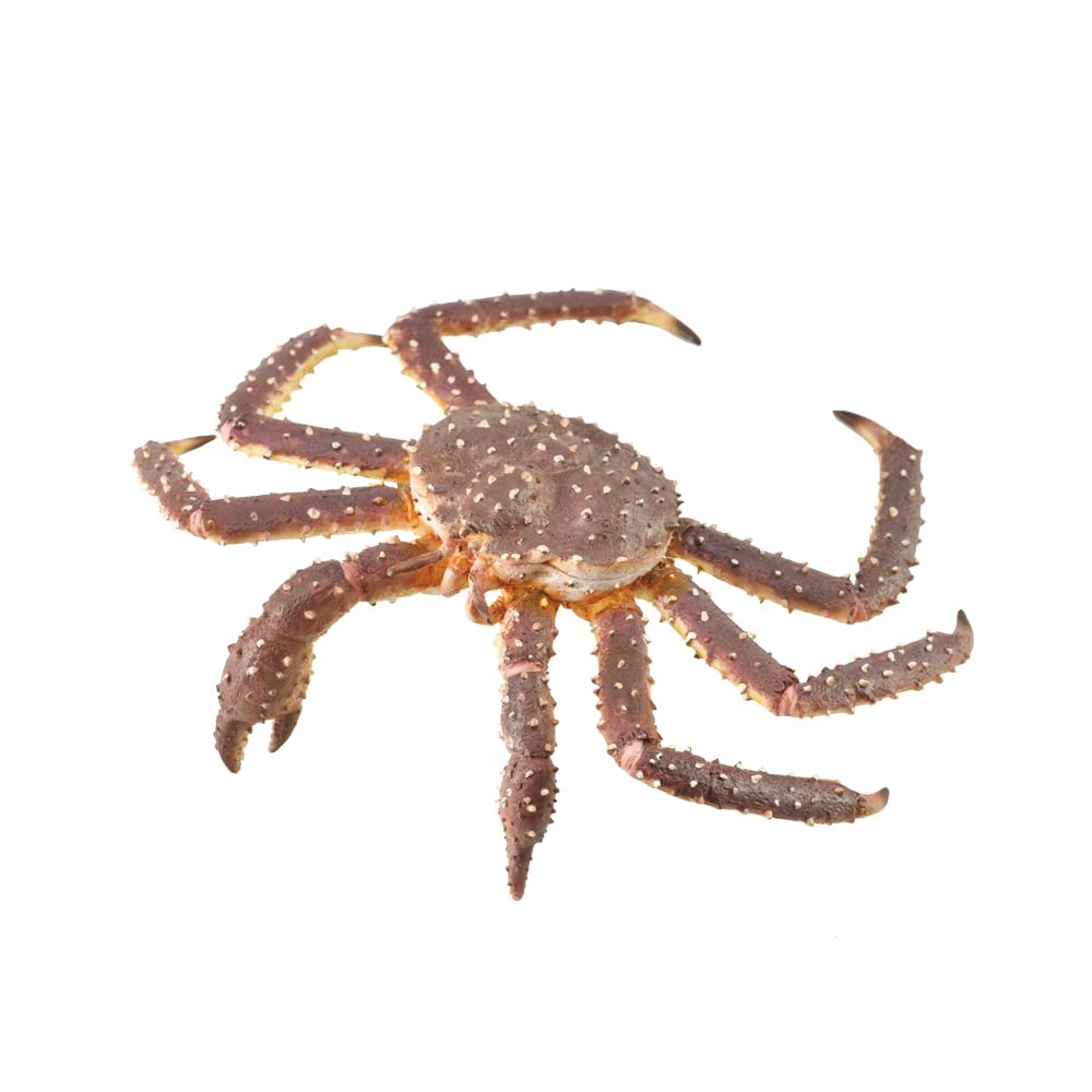 COLLECTA Aquatic Creature Figure King Crab 88851