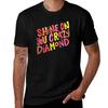 Shine On You Crazy Diamond Rainbow Palette Tshirt Summer Sports Quick Dry Tshirt