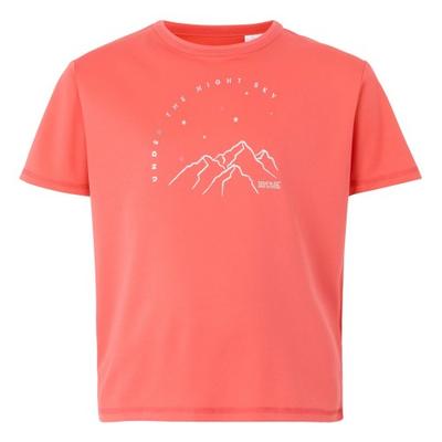 Childrens/Kids Alvarado IX Mountain T-Shirt