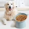 1-3Pcs Pet Food Bowl Tilted Cat Food Bowl Neck Protector Antichoking Dog Cat Water Bowl Antidumping Dog Feeding Dish Pet Supply