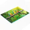 Durable and Stylish Glass Kitchen Backsplash with Parrot Branch Pattern 80X52 Cm