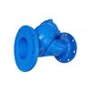Ductile Iron Y-Type Flange Filter