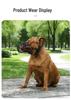 Anti-Bite Dog Muzzle for Medium to Large Breeds - Iron Cage Design