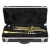 Standard B Tone Gold Trumpet Astonvilla Premium Brass Body Material Trumpet Professional Design for Beginner Learning Instrument