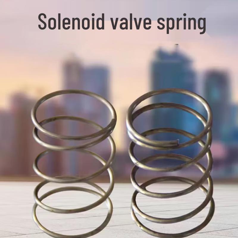 Hengrui Electromagnetic Pulse Valve Spring