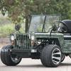 800W/1200W Electric Mini All-Terrain Children's UTV/ATV