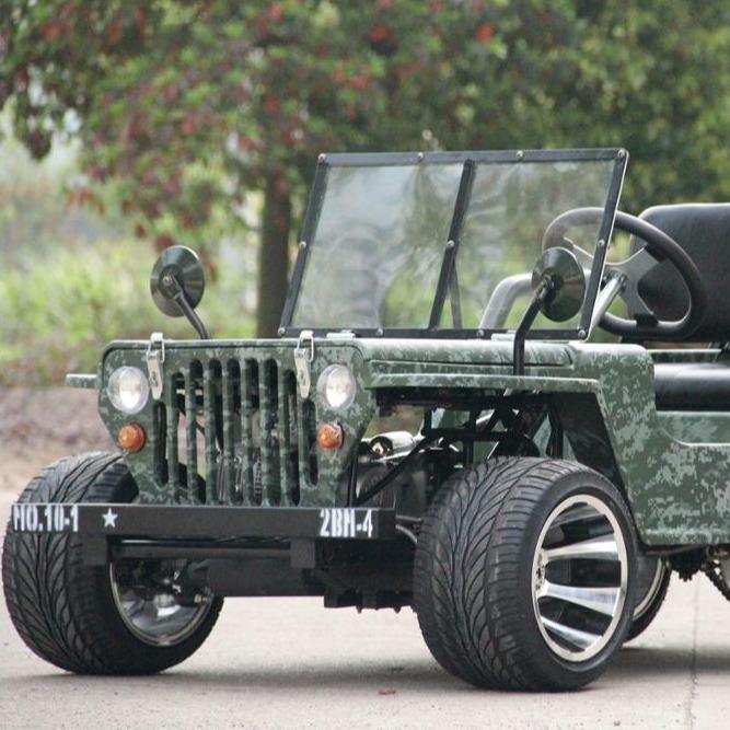 800W/1200W Electric Mini All-Terrain Children's UTV/ATV