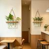 Wall Hanging Propagation Station with Wooden Stand Glass Test Tubes Garden Decor for Floral Arrangements Home Office Decor